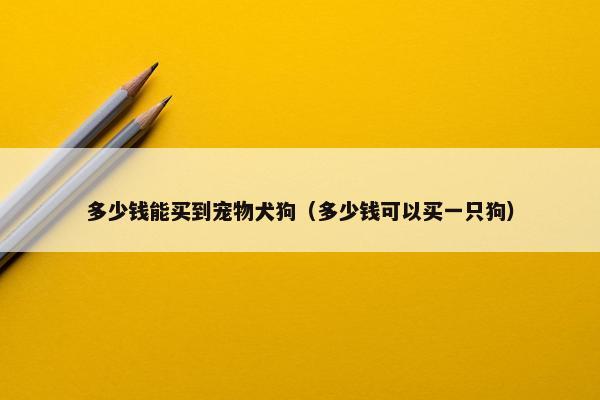 多少钱能买到宠物犬狗（多少钱可以买一只狗）