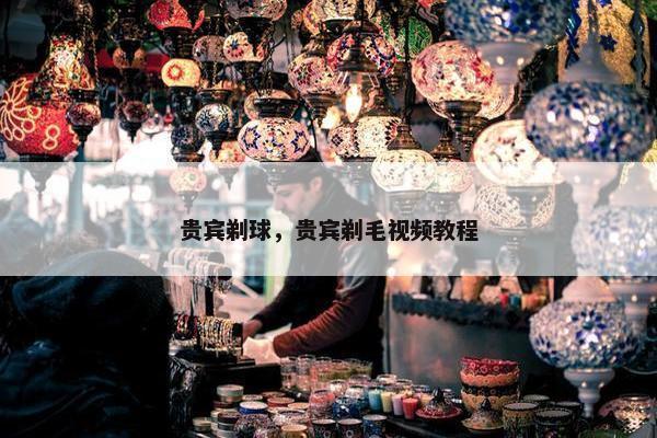 贵宾剃球，贵宾剃毛视频教程