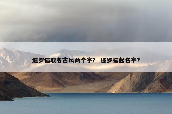 暹罗猫取名古风两个字？ 暹罗猫起名字？