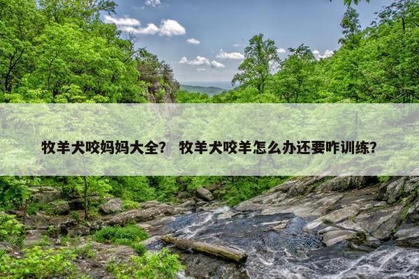 牧羊犬咬妈妈大全？ 牧羊犬咬羊怎么办还要咋训练？