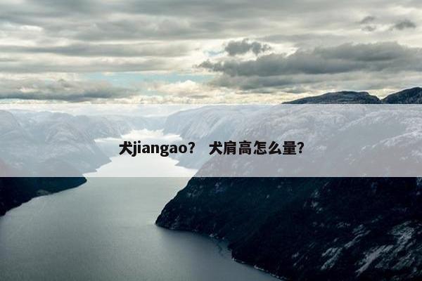 犬jiangao？ 犬肩高怎么量？