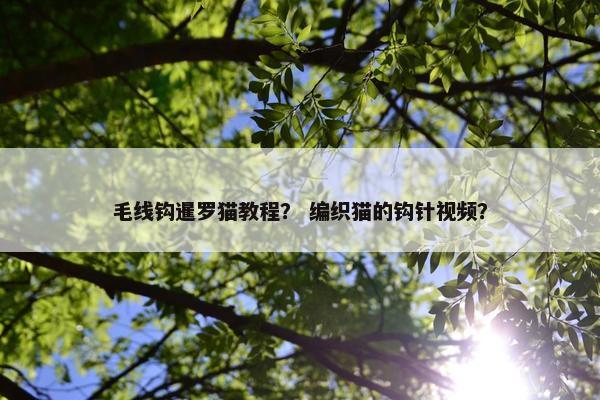 毛线钩暹罗猫教程？ 编织猫的钩针视频？