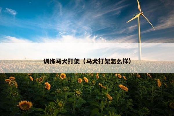 训练马犬打架（马犬打架怎么样）