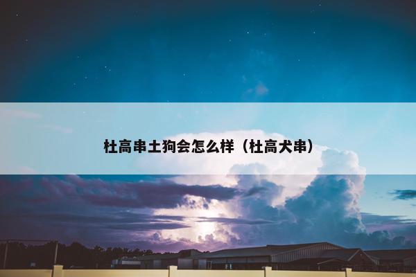 杜高串土狗会怎么样（杜高犬串）