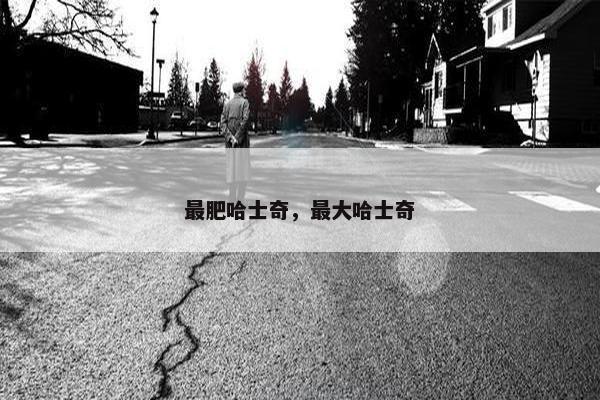 最肥哈士奇，最大哈士奇