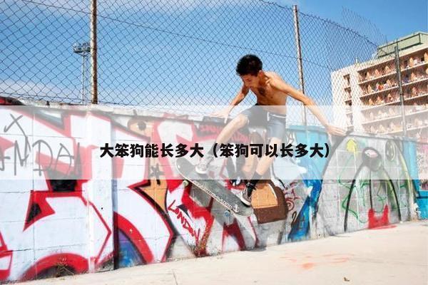 大笨狗能长多大（笨狗可以长多大）