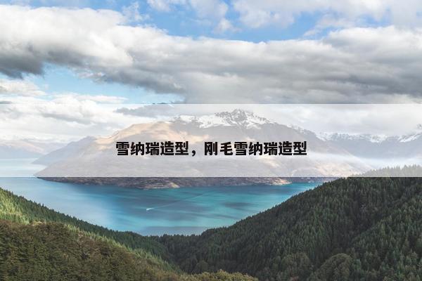 雪纳瑞造型，刚毛雪纳瑞造型