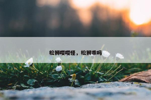 松狮嘤嘤怪，松狮乖吗