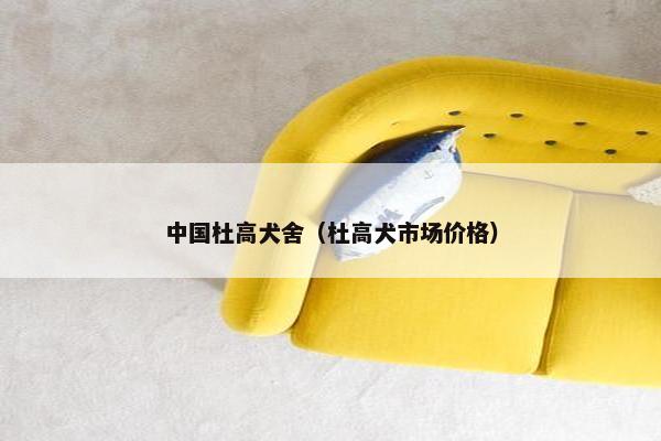 中国杜高犬舍（杜高犬市场价格）