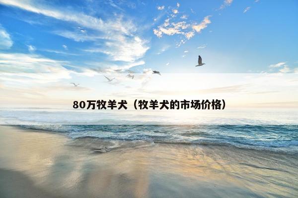 80万牧羊犬（牧羊犬的市场价格）