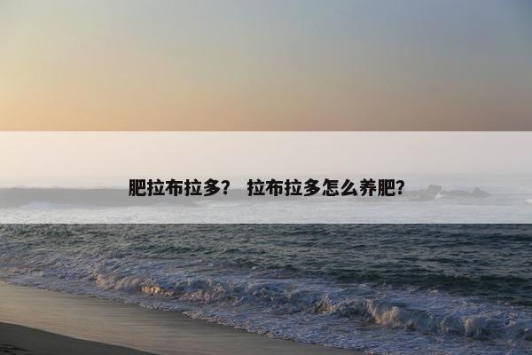 肥拉布拉多？ 拉布拉多怎么养肥？