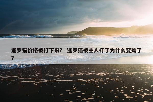 暹罗猫价格被打下来？ 暹罗猫被主人打了为什么变蔫了？