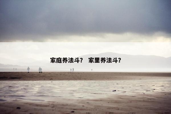 家庭养法斗？ 家里养法斗？