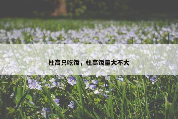 杜高只吃饭，杜高饭量大不大