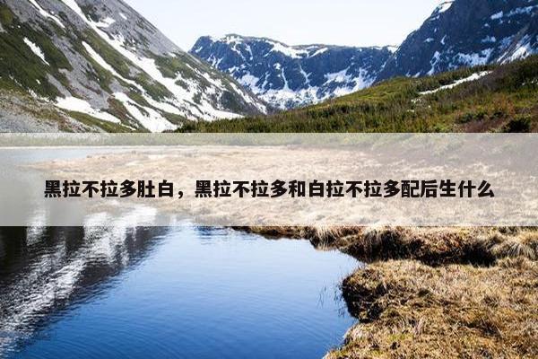 黑拉不拉多肚白，黑拉不拉多和白拉不拉多配后生什么