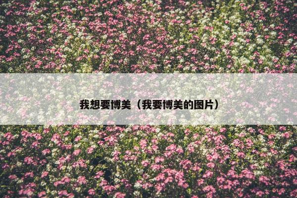 我想要博美（我要博美的图片）