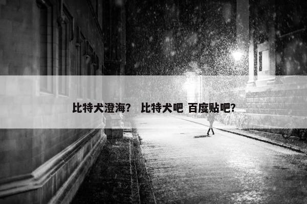 比特犬澄海？ 比特犬吧 百度贴吧？