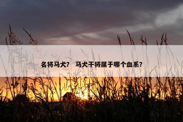 名将马犬？ 马犬干将属于哪个血系？
