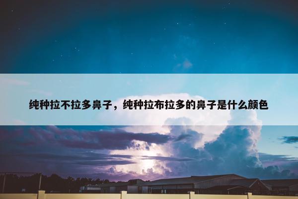 纯种拉不拉多鼻子，纯种拉布拉多的鼻子是什么颜色