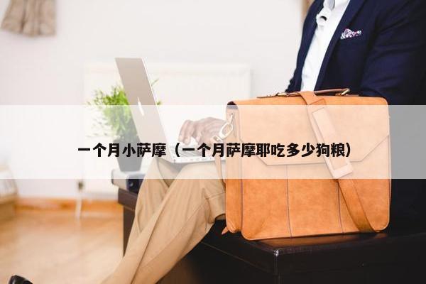 一个月小萨摩（一个月萨摩耶吃多少狗粮）