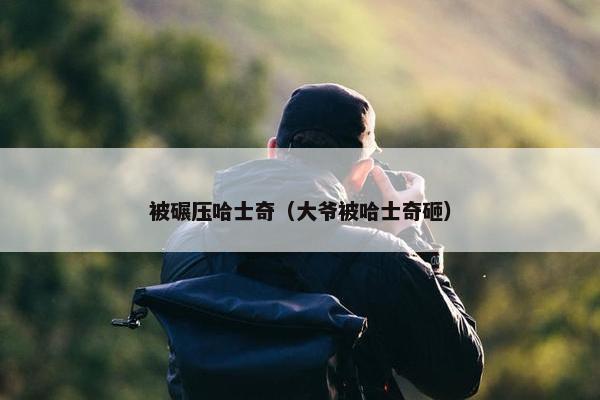 被碾压哈士奇（大爷被哈士奇砸）