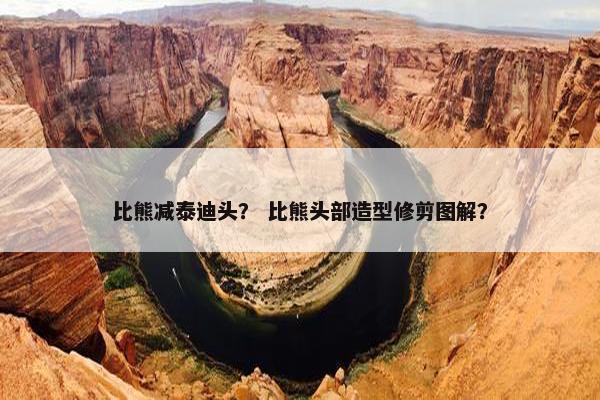 比熊减泰迪头？ 比熊头部造型修剪图解？