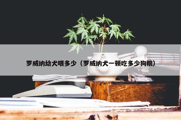 罗威纳幼犬喂多少（罗威纳犬一顿吃多少狗粮）