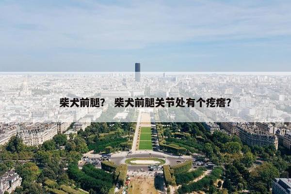 柴犬前腿？ 柴犬前腿关节处有个疙瘩？