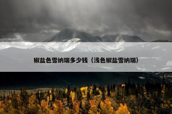 椒盐色雪纳瑞多少钱（浅色椒盐雪纳瑞）
