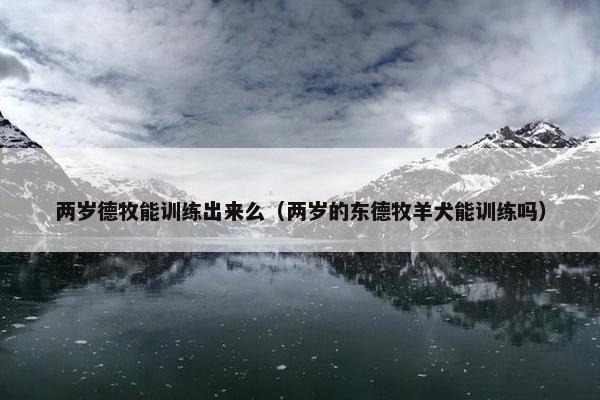 两岁德牧能训练出来么（两岁的东德牧羊犬能训练吗）