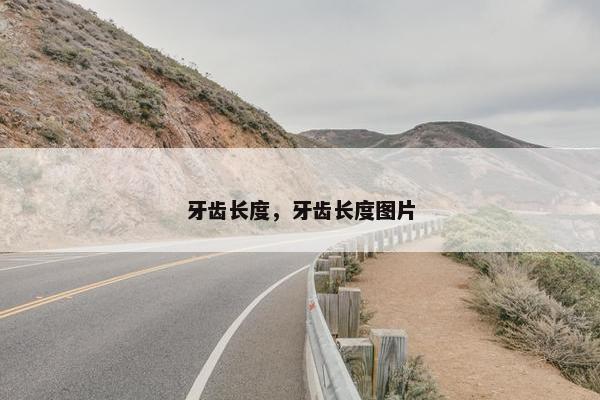 牙齿长度，牙齿长度图片