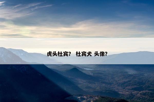 虎头杜宾？ 杜宾犬 头像？