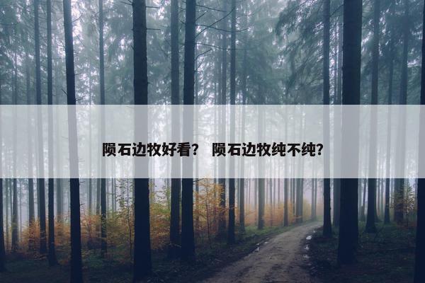 陨石边牧好看？ 陨石边牧纯不纯？