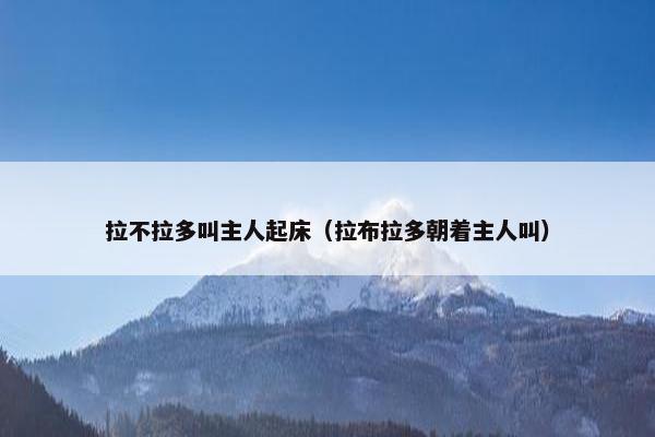 拉不拉多叫主人起床（拉布拉多朝着主人叫）