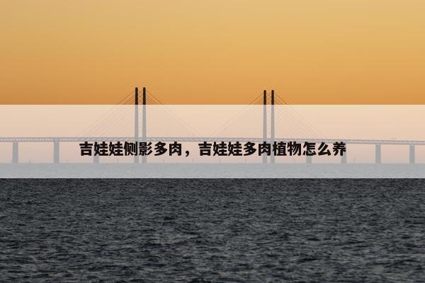 吉娃娃侧影多肉，吉娃娃多肉植物怎么养