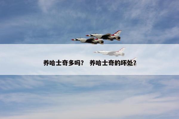 养哈士奇多吗？ 养哈士奇的坏处？