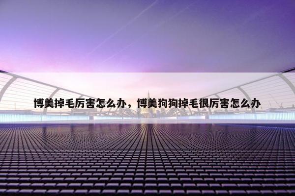 博美掉毛厉害怎么办，博美狗狗掉毛很厉害怎么办