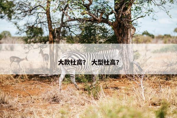 大款杜高？ 大型杜高？