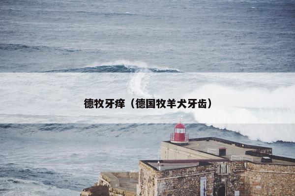 德牧牙痒（德国牧羊犬牙齿）