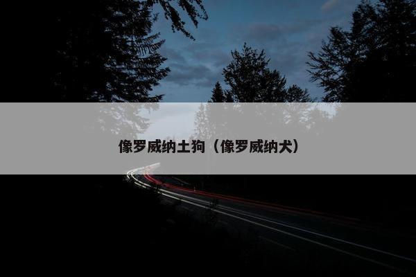 像罗威纳土狗（像罗威纳犬）