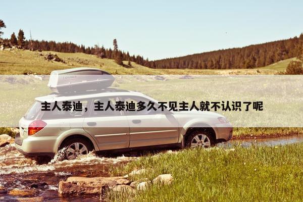 主人泰迪，主人泰迪多久不见主人就不认识了呢