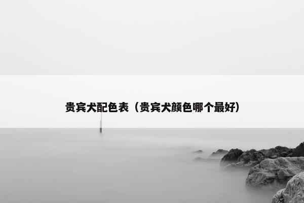 贵宾犬配色表（贵宾犬颜色哪个最好）