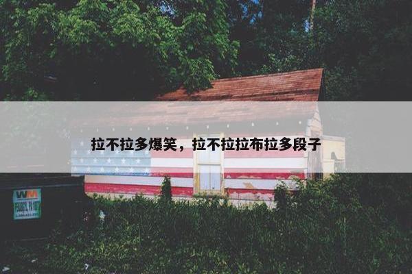 拉不拉多爆笑，拉不拉拉布拉多段子