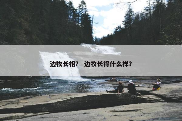 边牧长相？ 边牧长得什么样？