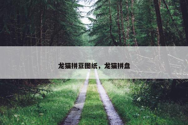 龙猫拼豆图纸，龙猫拼盘