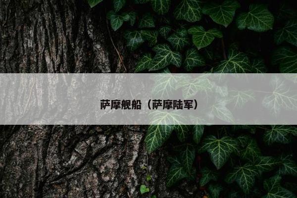 萨摩舰船（萨摩陆军）
