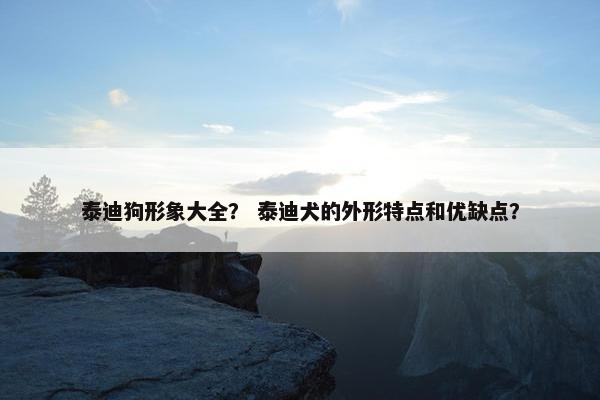泰迪狗形象大全？ 泰迪犬的外形特点和优缺点？