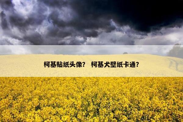 柯基贴纸头像？ 柯基犬壁纸卡通？