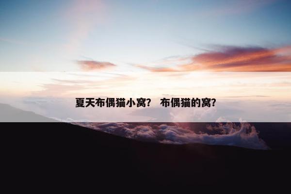 夏天布偶猫小窝？ 布偶猫的窝？