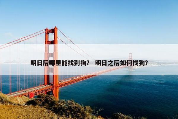明日后哪里能找到狗？ 明日之后如何找狗？